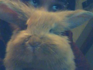 Doudou mon lapinou d'amour